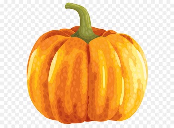 Field pumpkin Clip art - Large Autumn Pumpkin Clipart PNG Image 