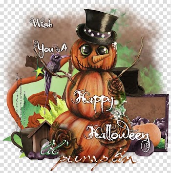 Field pumpkin Thanksgiving Calabaza Cucurbita maxima, pumpkin cupcakes halloween transparent background PNG clipart