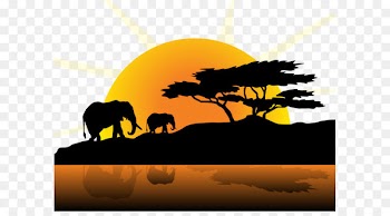 Field sunset vector 