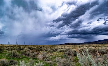 Field Under Cloudy Sky