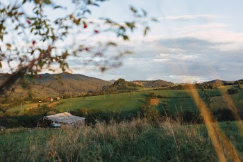 Fields in Bieszczady Mountains 3