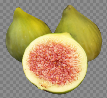 Fig Free PNG Image