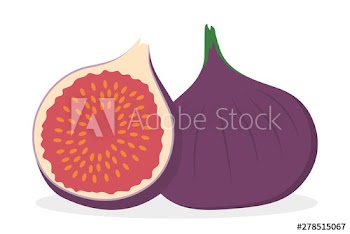 Fig fruit