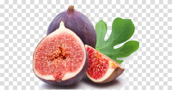 Fig PNG Image