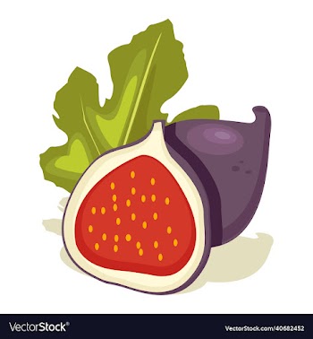 fig sliced fruit