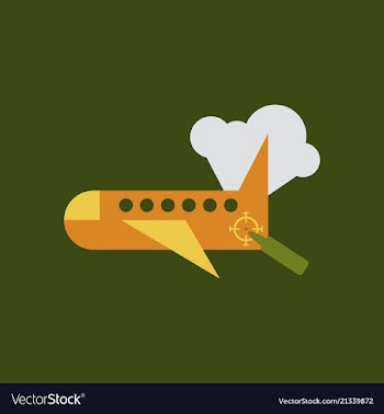 Fighter jet accident military aircraft in fire vector image