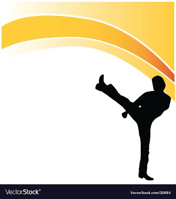 Fighter logo vector image