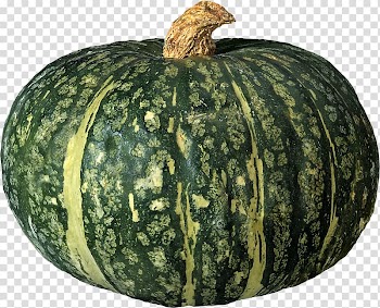 Figleaf Gourd Pumpkin Calabaza Cucurbita pepo, Pumpkin transparent background PNG clipart