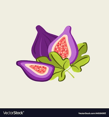 figs on light beige background