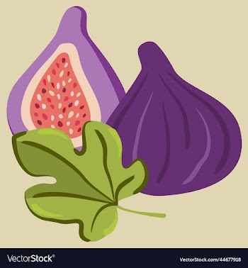 figs on light yellow background