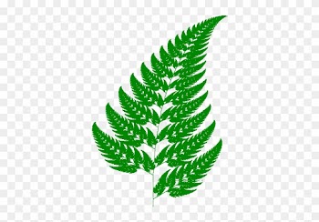 Figure 11 - - Fern Leaf