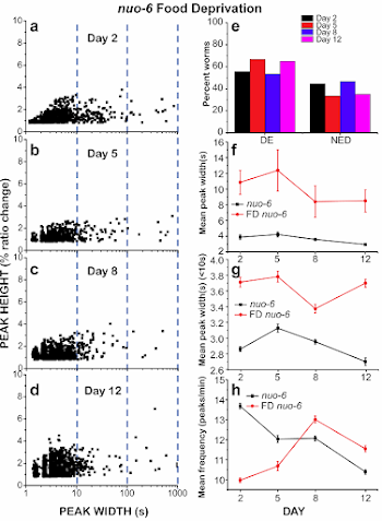 Figure 6 from Long-term monitoring of Ca2+ dynamics in C. elegans ...