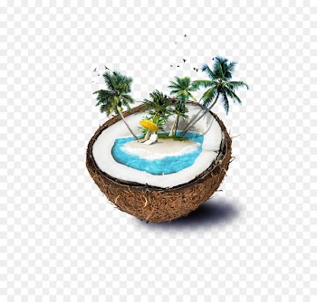 Fiji Coconut water Beach Island - coconut 