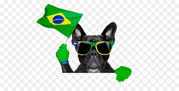 Fila Brasileiro 2014 FIFA World Cup Brazil national football team Stock photography - A black dog 