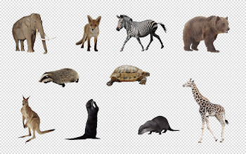 File:Animals png set by mossi889-d4uye4q.png - Wikimedia Commons
