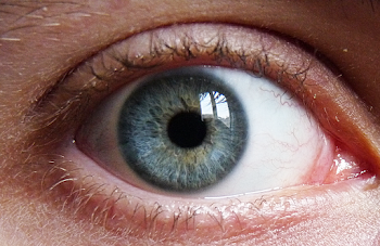 File:Blue Green Eye.png - Wikimedia Commons