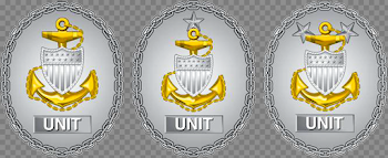 File:Former USCG Unit Command CPO Identification Badges.png ...