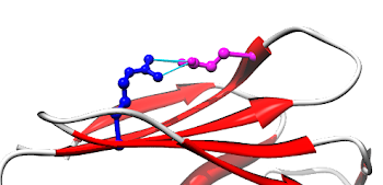 File:LaminA lmna 1IFR wild-type top view PMID 22549407.png ...