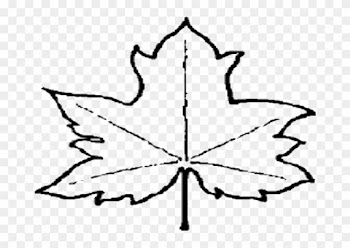 File Leaf Outline Wikipedia Clipart - Outline Of A Leaf