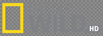 File:Nat Geo Wild HD logo.png - Wikimedia Commons