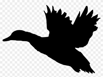 Fileduck Sotka1 - Flying Duck Silhouette Clip Art