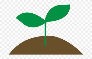 Filesprout - Leaf Sprout Png