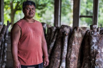 Filipino man in sawmill, Imugan, | Free Photo - rawpixel