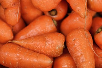 Fill the Frame Photography of Carrots