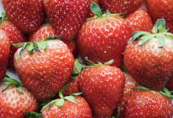 Fill the Frame Photography of Red Strawberries