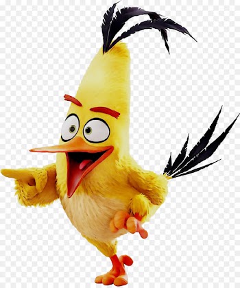 Film Angry Birds Movie Image Comedy -  