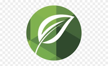Final Logs Main Transpaprent Leaf - Contract