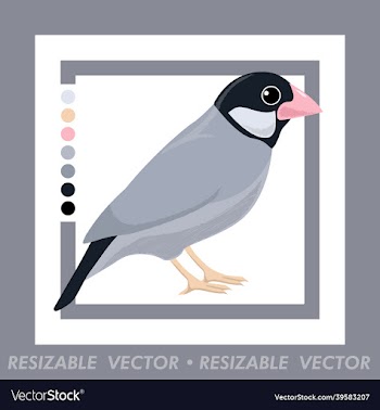 finch