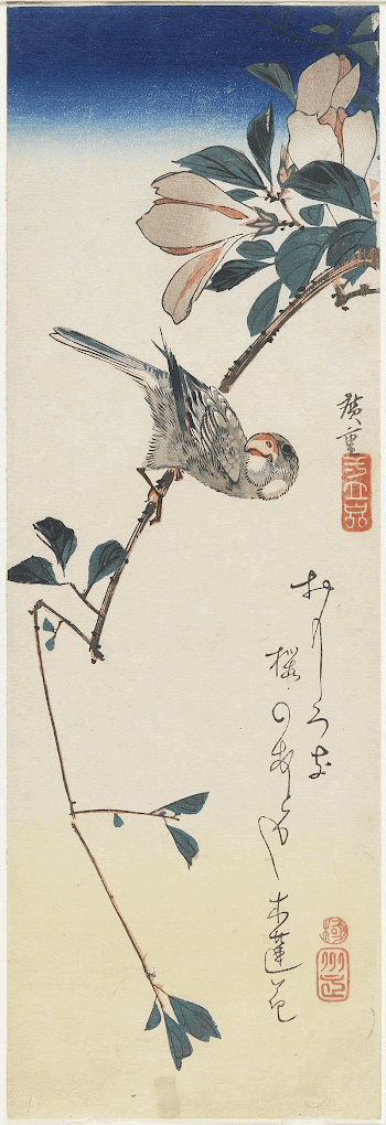 Finch on Magnolia BranchOriginal from the Minneapolis | Free Photo - rawpixel