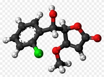 Find Patient Medical Information For Gabitril - Amine Compounds (chemical Compounds)