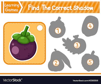 find the correct shadow find and match the