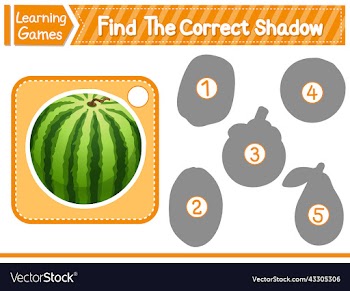 find the correct shadow find and match the