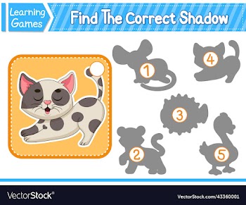 find the correct shadow find and match the