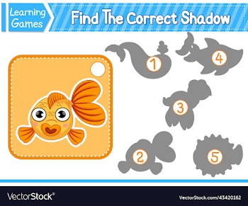 find the correct shadow find and match the