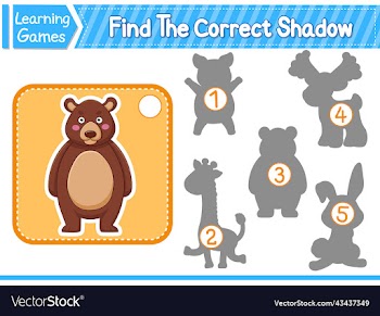 find the correct shadow find and match the