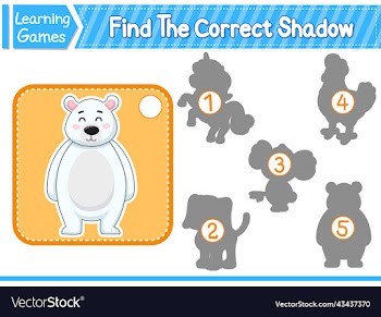 find the correct shadow find and match the
