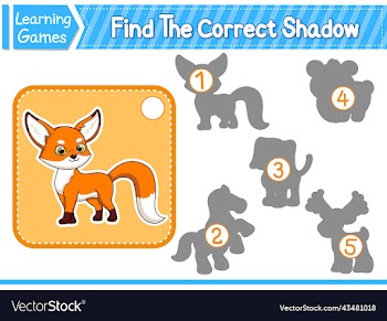 find the correct shadow find and match the