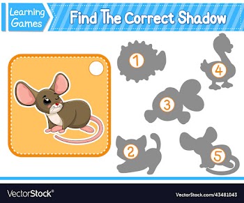 find the correct shadow find and match the