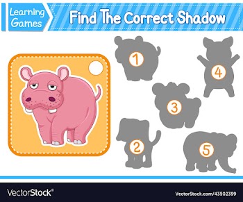 find the correct shadow find and match the