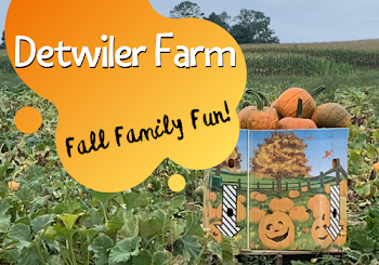 Find your Family's Fall Fun at Detwiler Farm!