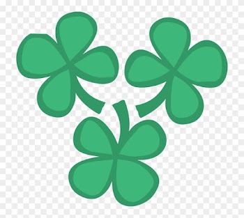 Finding A Ton Of Four Leaf Clovers Few Five Pictures - 3 Four Leaf Clovers