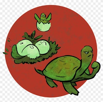 Finding Meaning And Inspiration Through The Power Of - Pond Turtle