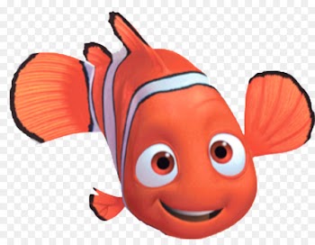 Finding Nemo Darla Philip Sherman Pixar - cockroach 