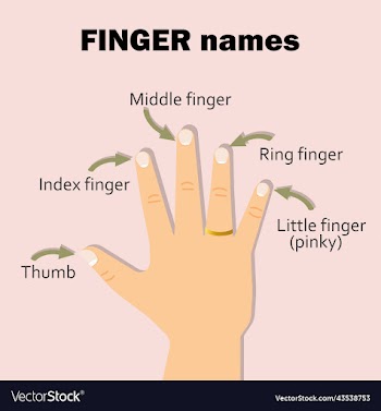 finger names thumb index middle ring little f