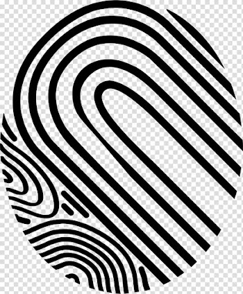 Fingerprint Anatomy Abstract, fingerprint transparent background PNG clipart