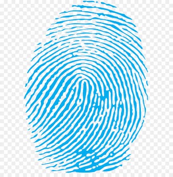 Fingerprint Clip art - Fingerprint Png 